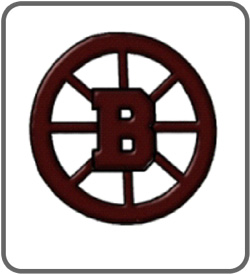 Bayonne High School Hockey